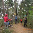 대사리(벌말) 이미지