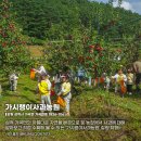 가시랭이사과농원