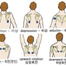 본앤장한의원 이미지