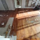 수성오바드빌 이미지