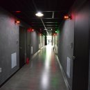 메이플무인텔 이미지