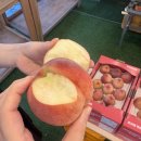 소중농원 | 조치원 복숭아 직판장 추천｜채아달농원 직접 다녀온 후기, 내돈내산 가격·시식·택배까지