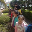 양지초병설유치원 이미지