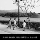 경주솔거미술관 이미지