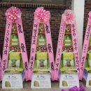 하늘기업 Daum카페