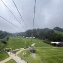 스위트카 | 강원도 홍천 비발디파크 추천 소노펫 애견동반 스위트룸 이용후기(운동장, 케이블카 이용방법까지!)