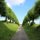 명리학중급 | 사주명리학 독학 동영상 강의.어디서 배워야 할까?