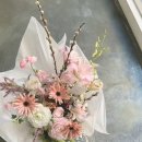 팔레드라팡