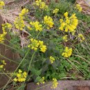 마조리보건진료소 이미지