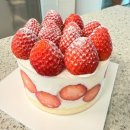 롯데백화점 중동점 | 부천 중동 케이크 맛집 해피베어데이 롯데백화점 중동점 후기