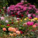 먹골역7번출구 이미지