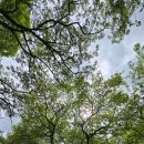 견우공원 | 26년 4월 19일 남원 광한루원 여행 후기