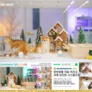 일신민박 | 거제고양이분양 우리 가족의 소통을 되찾아준 반려묘