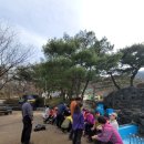 최진사댁셋째닭 이미지