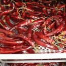 야채청과 이미지