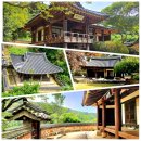 호이농장 | 밀양, 아름다운 정자(亭子)를 찾아서 1편ㆍ오연정(鼇淵亭), 월연정(月淵亭), 금시당(今是堂), 완재정...