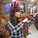 [신규]바이올린 이미지