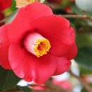 부자농장3 이미지