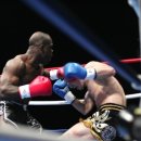 비노짐킥복싱 이미지