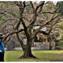 양옥목장 이미지