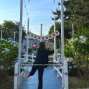 뜰안에창작마을 협동조합 | 울산 장생포 고래문화마을 수국 페스티벌 (장생포 옛마을, 오색 수국 정원) | 수국사랑상품권 사용 가능...