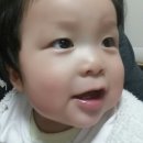 사과머리 - 서구 | 사과머리