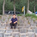 남호해수욕장 이미지