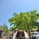 해지개캠핑장 이미지