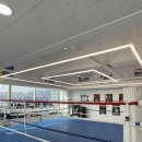 모던복싱 이미지