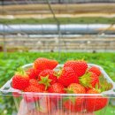 아이와농장 이미지