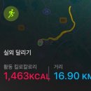 광주천변 자전거 도로 | 영산강 자전거 종주 코스 뛰어보기! LSD (담양러닝코스)
