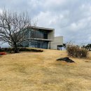 카페 주 | 제주 베이커리 카페, 브런치치카페, 노바운더리제주 브런치후기