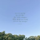 (주)모으리 네이버블로그