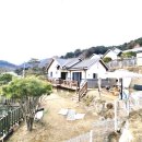 서종엔양평부동산중개사무소 | [양평 전원주택 전세] 서울 가까운 서종면에서 1억 5천으로 전원생활 시작! 부담 없는 전세로 살아보고...