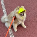 승학체육공원 이미지