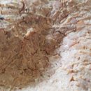 구주령 산채농원 이미지