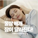 💤 수면베개 추천, 미건수자타PEMF펄스 뇌건강베개 직접 사용 후기 (부모님 선물 고민이라면)