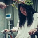 거룩한밤 데몬헌터스 마이데일리