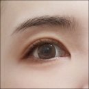 얼루어컴퍼니 | 붓펜 아이라이너 추천 뮤리 잉크라이너 후기