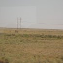 평원목장 이미지