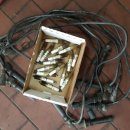 토마토모터스 이미지