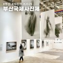 유로공업사 | 2025 부산국제사진제 무료 유료 전시 후기 리뷰