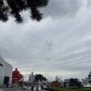 헬로멍푸드 | 시간, 오사광장 아침산책, 지엔빙 쇼좌빙 맛집, 은어항, 잔교, 헬로키티, 성미카엘 성당, 칭다오 고덕지도