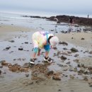 샛별팬션 이미지