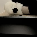 지온목장 | 여행] 그랜드캐니언 투어 1박2일 | 자이언 캐니언, 브라이스 캐니언, 파웰호수, 홀스슈밴드, 투어 후기