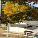 신태인목장 이미지