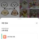 몽블링펫살롱 네이버블로그