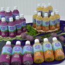 신안센터-2 이미지