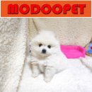 모두와샵 이미지