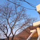 돌고래 노래연습장 이미지